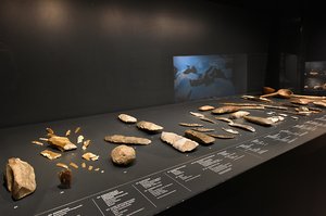 Verschiedene archäologische Funde von Werkzeugen in einer Vitrine.